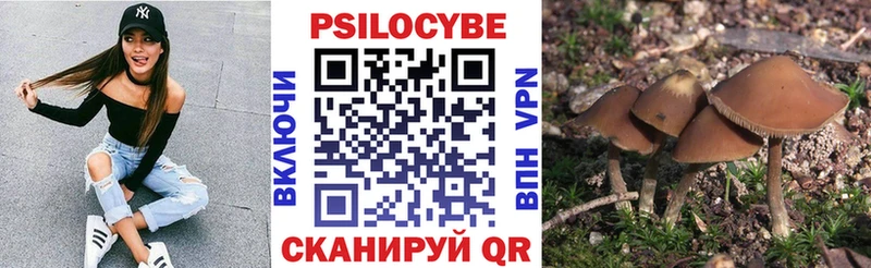 Галлюциногенные грибы мухоморы  mega ссылка  Мариинский Посад 